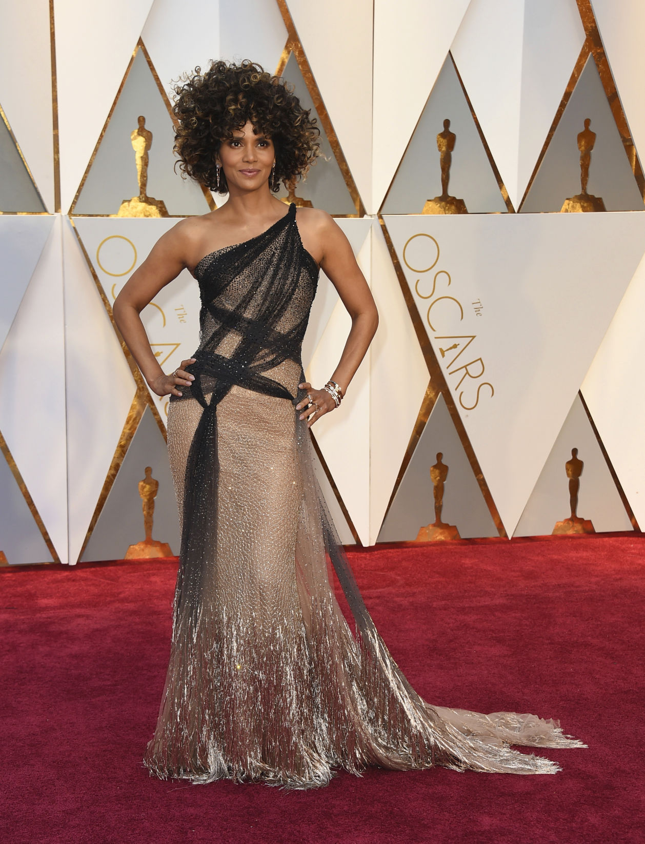 APTOPIX 89th Academy Awards - Arrivals